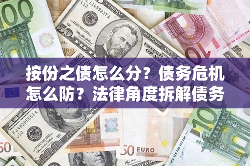 武汉按份之债怎么分？债务危机怎么防？法律角度拆解债务分配与风险自保指南