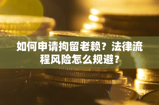 武汉如何申请拘留老赖？法律流程风险怎么规避？