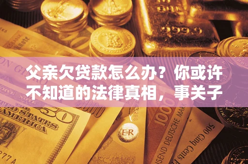 武汉父亲欠贷款怎么办？你或许不知道的法律真相，事关子女未来