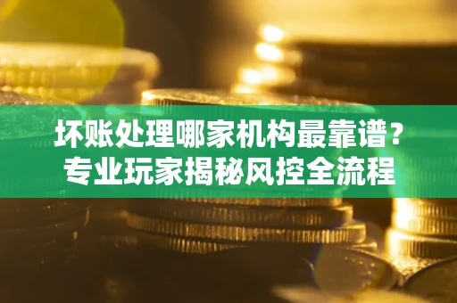 武汉坏账处理哪家机构最靠谱？专业玩家揭秘风控全流程