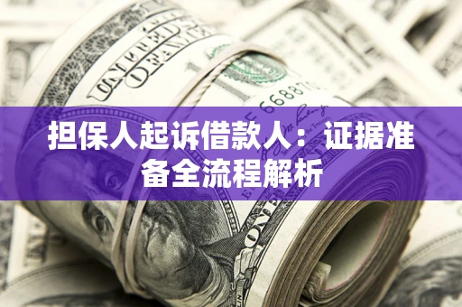 武汉担保人起诉借款人：证据准备全流程解析