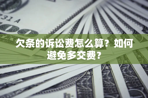 武汉欠条的诉讼费怎么算？如何避免多交费？