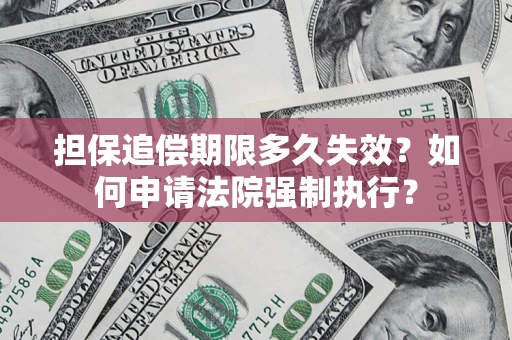 武汉担保追偿期限多久失效？如何申请法院强制执行？