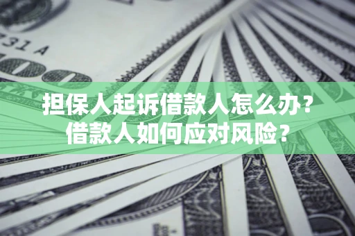 武汉担保人起诉借款人怎么办？借款人如何应对风险？