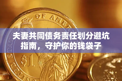 武汉夫妻共同债务责任划分避坑指南，守护你的钱袋子