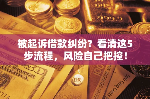 武汉被起诉借款纠纷？看清这5步流程，风险自己把控！