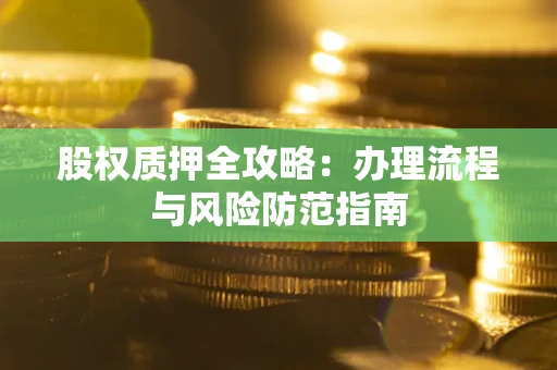 武汉股权质押全攻略：办理流程与风险防范指南